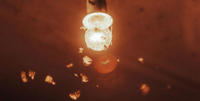 moths fly around a lightbulb at night
