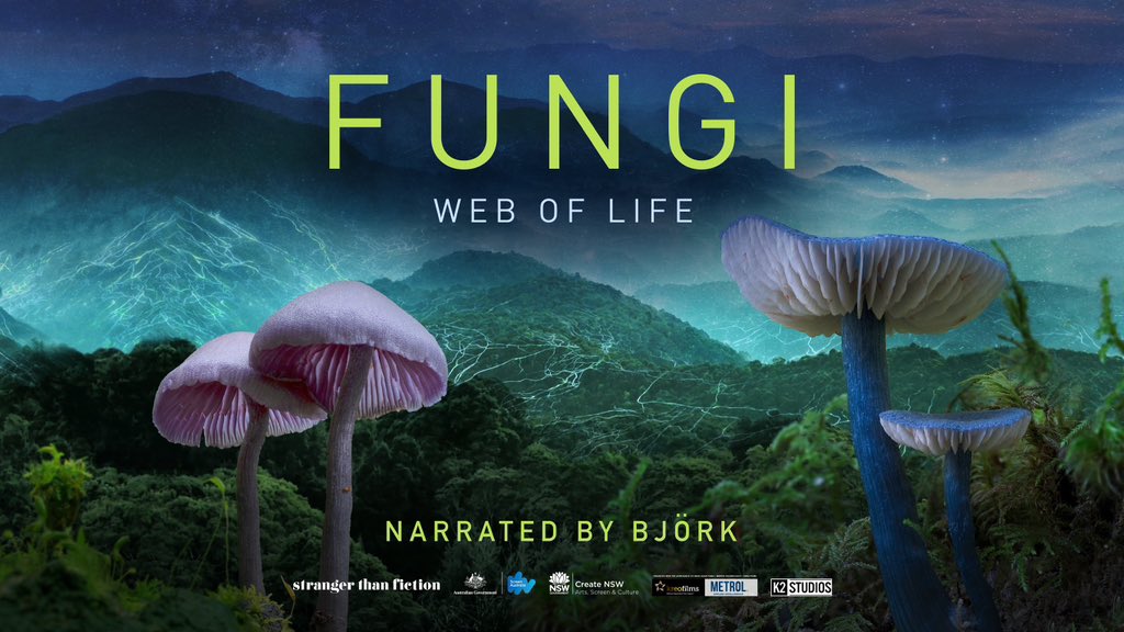 Fungi Web of Life film poster featuring dramatic looking mushrooms