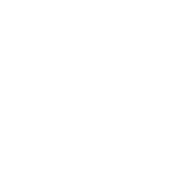 bike icon