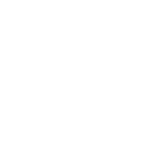 trowel icon